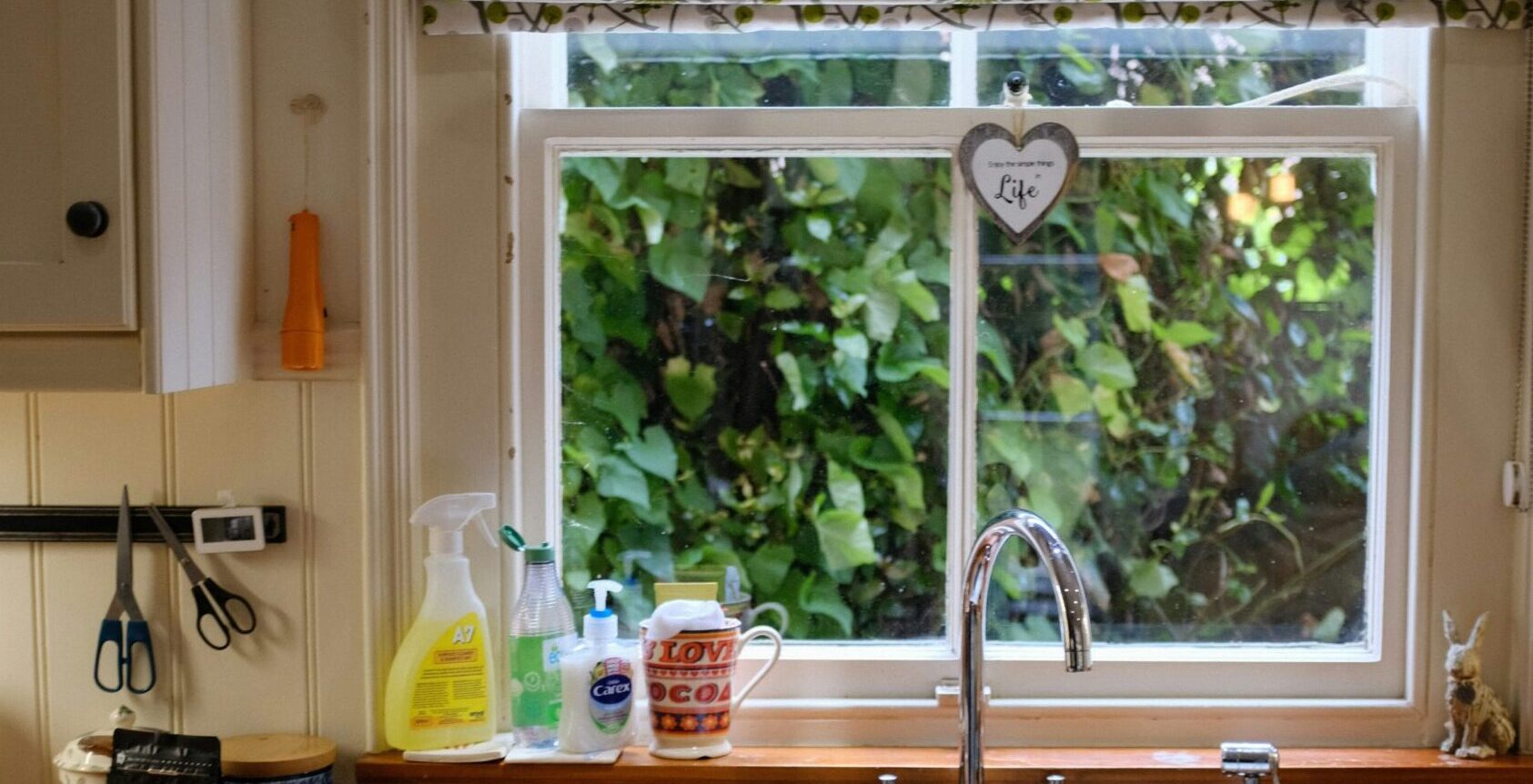 Projects anna syla btnvylctwf8 unsplash